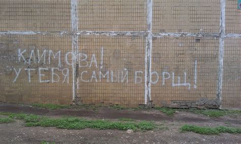 Борщ. | Пикабу