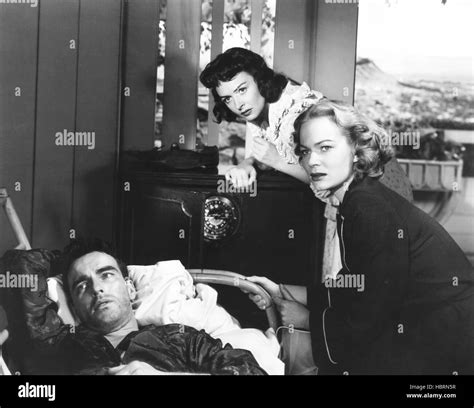 Von Hier Zur Ewigkeit Von Links Montgomery Clift Donna Reed