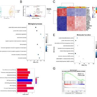 Tyramine Alters Gene Expression Profiles And Pathways Involved In