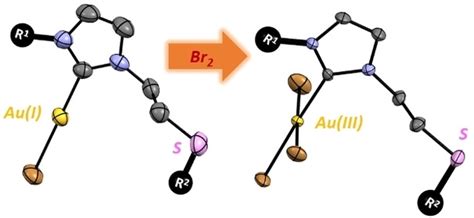 Synthesis Structural Characterization And Antiproliferative Activity Of Gold I And Gold Iii