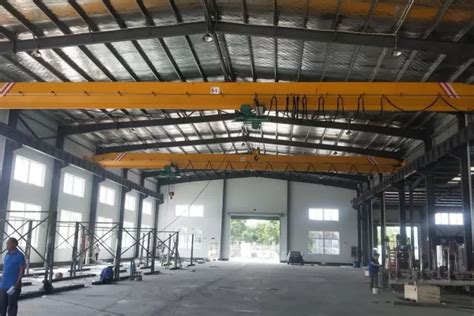 Ldy Metallurgy Electric Single Girder Crane Weihua Crane