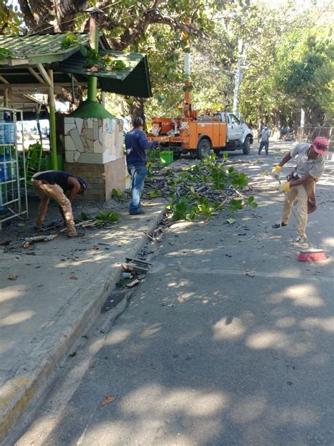 GESTIÓN AMBIENTAL AYUNTAMIENTO BANÍ CONTINÚA OPERATIVO PODA Y CORTE