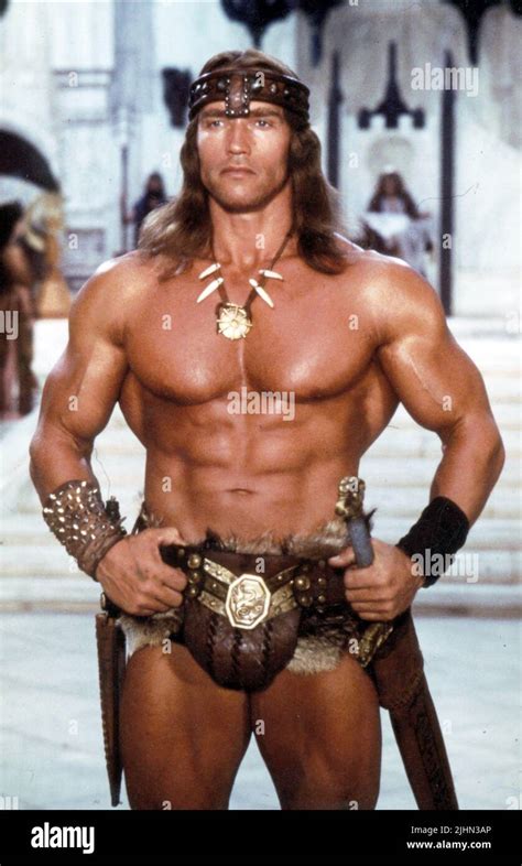 ARNOLD SCHWARZENEGGER, CONAN THE DESTROYER, 1984 Stock Photo - Alamy