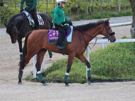 ベラジオオペラ、宝塚記念2週前追い切り速報栗東トレセンニュース 競馬ニュース Netkeiba