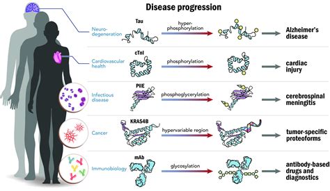 The Human Proteoform Project: Defining the human proteome ...