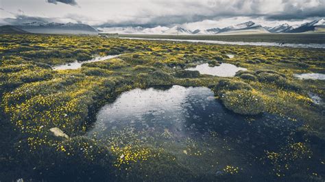 Lago Di Tenno Un Oasi Di Tranquillit Tra Natura E Storia Meeters