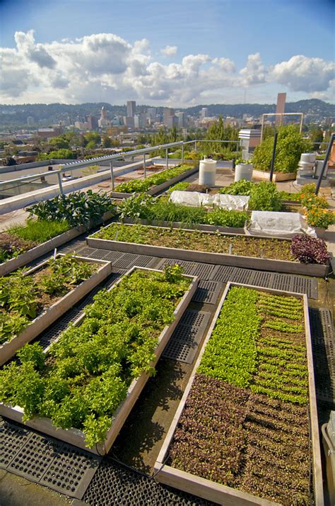 Rooftop gardens menu - Hawk Haven