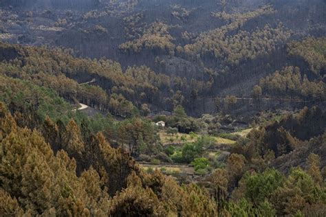 El Fuego De Las Hurdes Y Sierra De Gata Arrasa Hect Reas