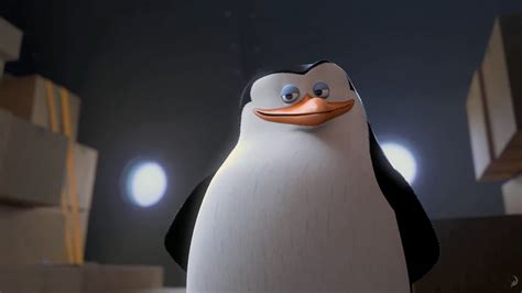 Skipper from The Penguins of Madagascar Desktop Wallpaper