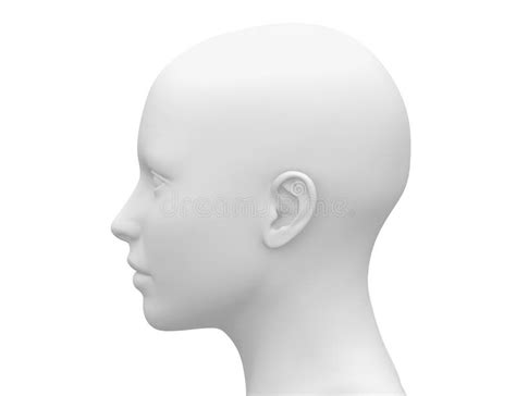 Human Head Side View Stock Illustrations – 7,319 Human Head Side View ...