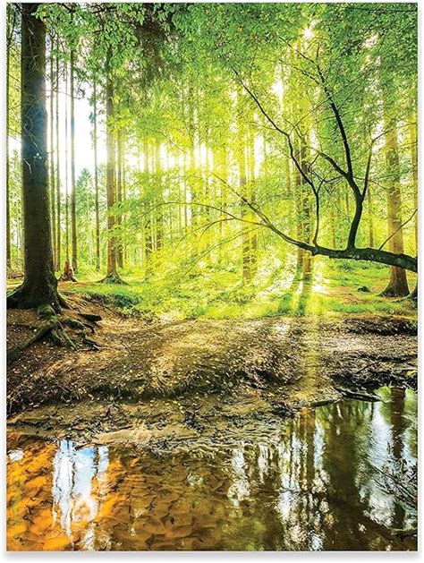 Amazon de Poster Wald Natur Grün Landschaft 50x70 cm Hochformat OHNE