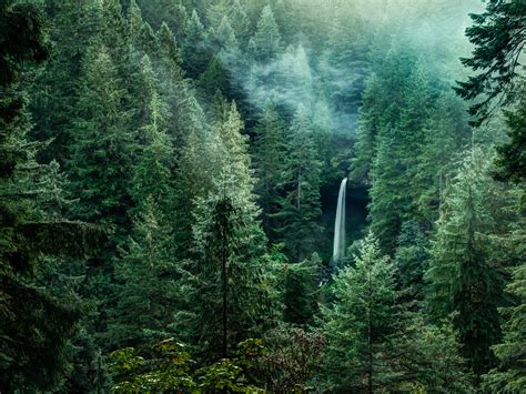 Pacific Northwest Wallpapers - 4k, HD Backgrounds on WallpaperBat