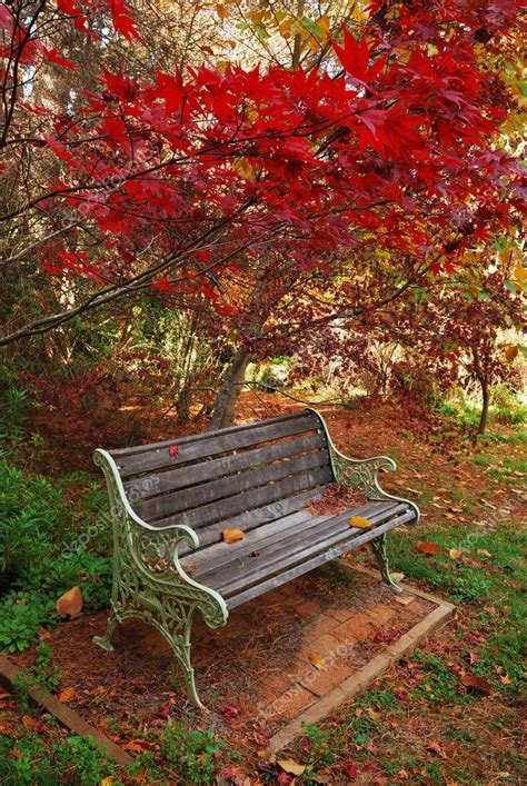 Images: autumn park bench | Single autumn park bench — Stock Photo ...