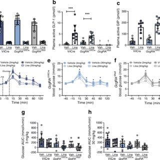 Linagliptin Improves Glucose Tolerance In Gcgra Null Mice A