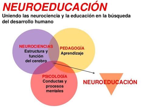 En Este Vídeo Podemos Aprender Sobre La Neurociencia En La Educación A Través De La Entrevista