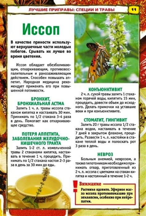 Пин на доске Здоровье | Целебные травы, Траволечение, Лекарственные ...