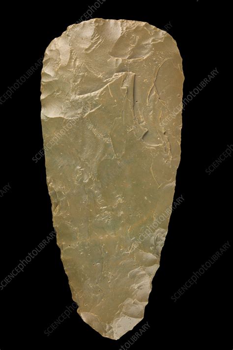 Neolithic tools - Stock Image - C057/0121 - Science Photo Library