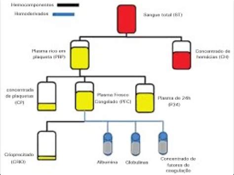Transfusión y hemoderivados Segunda Parte YouTube
