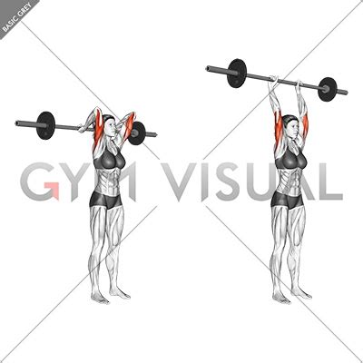 How To Standing Barbell Tricep Extension Form Benefits Steel