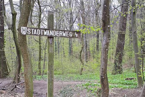 Wiener Stadtwanderweg 4 Vom Dehnepark zur Jubiläumswarte