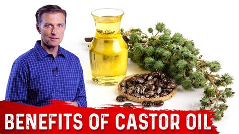 Interesting Benefits Of Castor Oil Dr Berg Litmeds