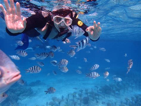 魚兒可愛的讓人捨不得放開飼料哇 ｜ 沖繩 青洞潛水・青洞浮潛 全程中文教學黑潮潛水in沖繩