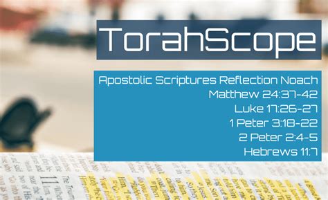 Apostolic Scriptures Reflection Noach Matthew 2437 42 Luke 1726 27