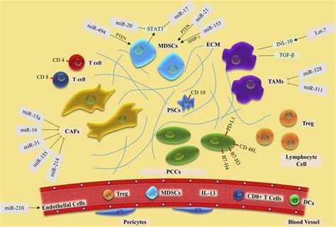 MicroRNAs And Immunosuppressive Microenvironment In Pancreatic Cancer