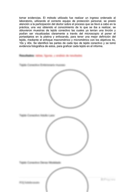 Solution Informe Tejido Conectivo Histolog A Anatom A Studypool