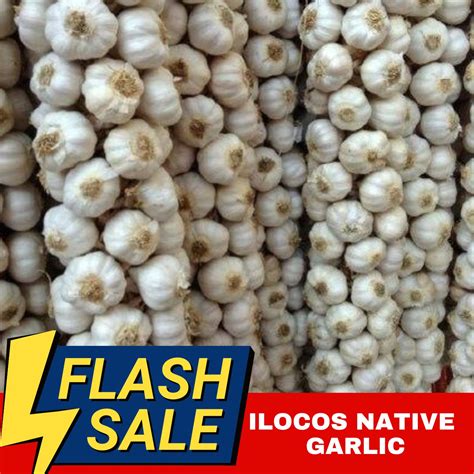 250 Grams Native Garlic Mabango Ilocos Garlic Big Size Native Garlic Of