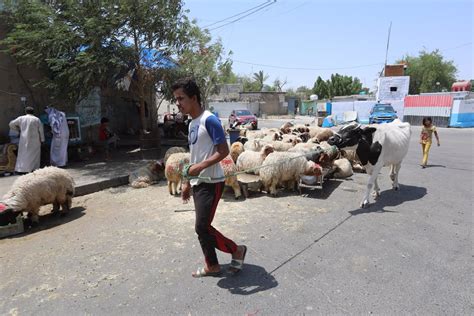 Irak Irak Eleva La Alerta Sanitaria Por Fiebre Hemorr Gica Tras