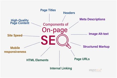 Understanding Different Types Of Seo A Complete Guide Seorocket Blog