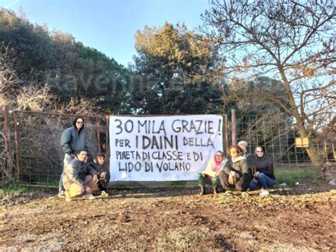 30 Mila GRAZIE Dai Daini Della Pineta Di Classe E Di Lido Di Volano