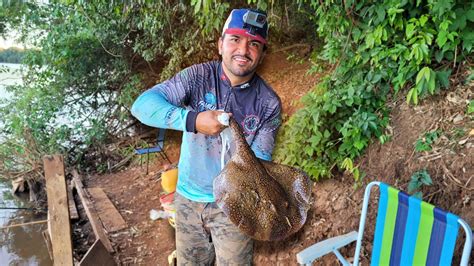 Peguei Uma Arraia No Rio Ivai Pescaria De Peixe De Couro Deu Arraia