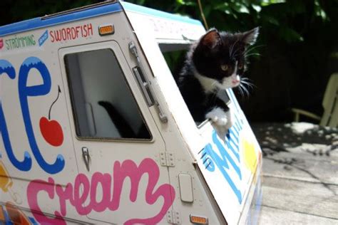 Oto Ice Cream Truck For Cats