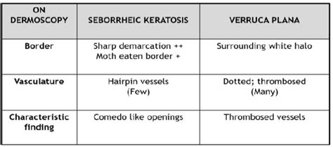 Figure 4 From A Study Of Dermoscopic Patterns In Flat Verrucous Lesions