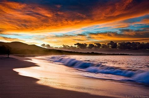 Ocean Paradise - XciteFun.net