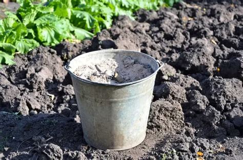 Utilisation De La Cendre De Bois Au Potager Que Faire Pour Favoriser