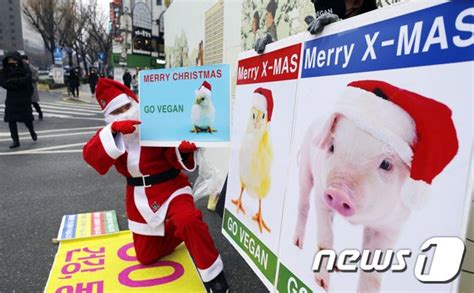 채식 촉구하는 시민단체 네이트 뉴스