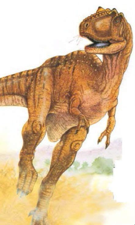 Giganotosaurus Wiki Amino Paleontolog A Amino