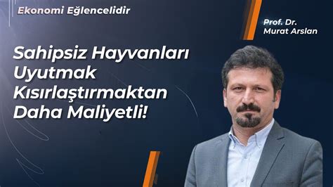 Sahipsiz Hayvanlar Yasa Tasarısı Uygulanabilir Mi Prof Dr Murat