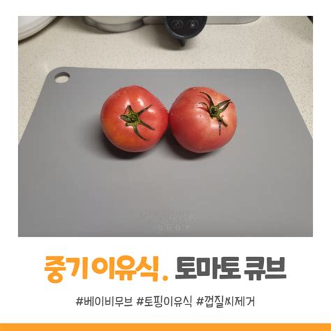 중기토핑 이유식 베이비무브 토마토 큐브 껍질씨제거 네이버 블로그