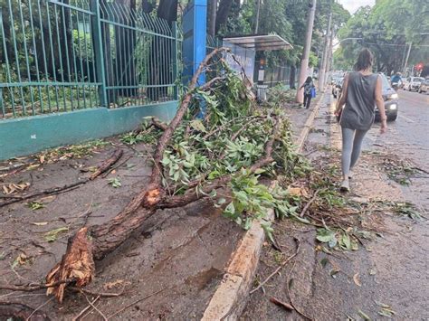 Parque Ibirapuera Segue Fechado Ap S Temporal Que Derrubou Estrutura