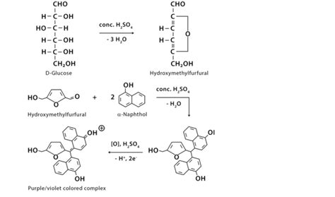 Molisch’s Test Principle Reagents And Results Interpretation Viva Differences