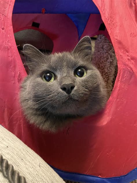 Mia’s eyes fascinate me : r/DisneyEyes