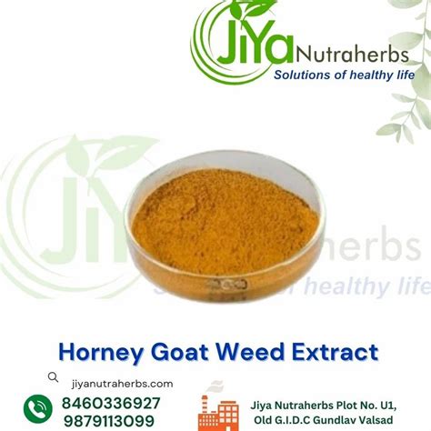 Horney Goat Weed Extracts At Rs Kg Garlic Extract In Valsad Id