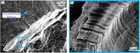 44 A Higher Magnification Of 312a Fracture Surface Showing Evidence Download Scientific