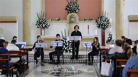 M Sicos Para Matrimonios En Bogot Grupo Musical Aluna