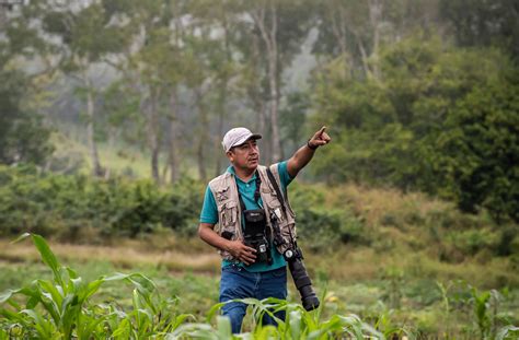 Why You Should Go Bird Watching In Belize In 2024