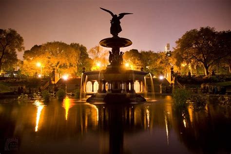 NYC Central Park Night Time Photography Tour: Triphobo